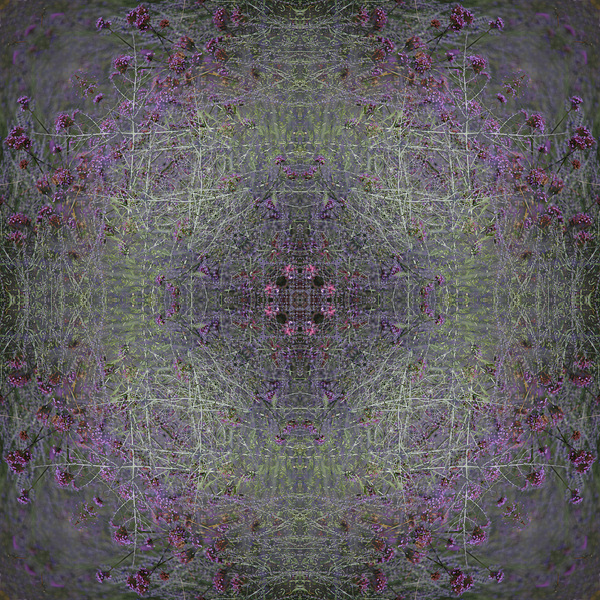 Colors of Provence Print