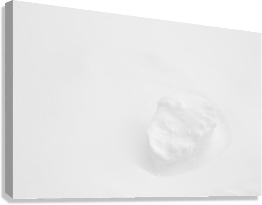 Smooth Winter. Canvas Print