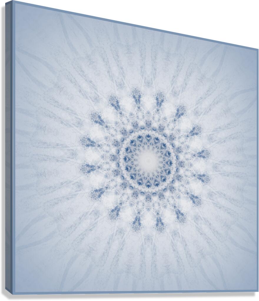 Ice and Snow Canvas Print