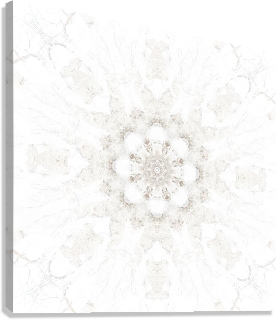 Snowflower Canvas Print
