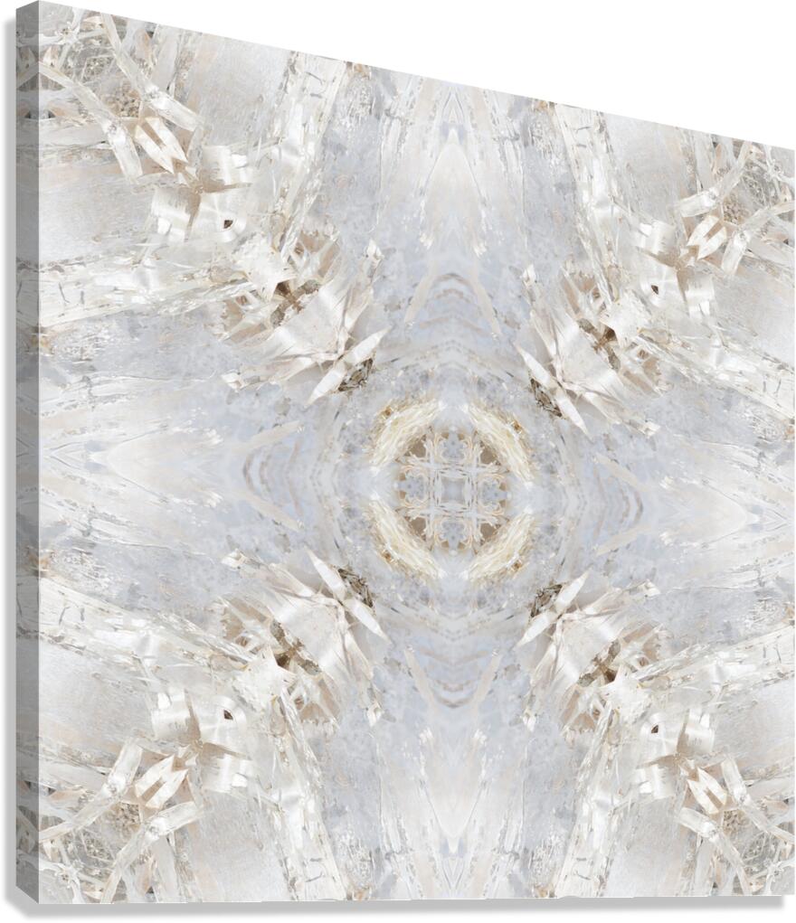 Winter birch bark Canvas Print