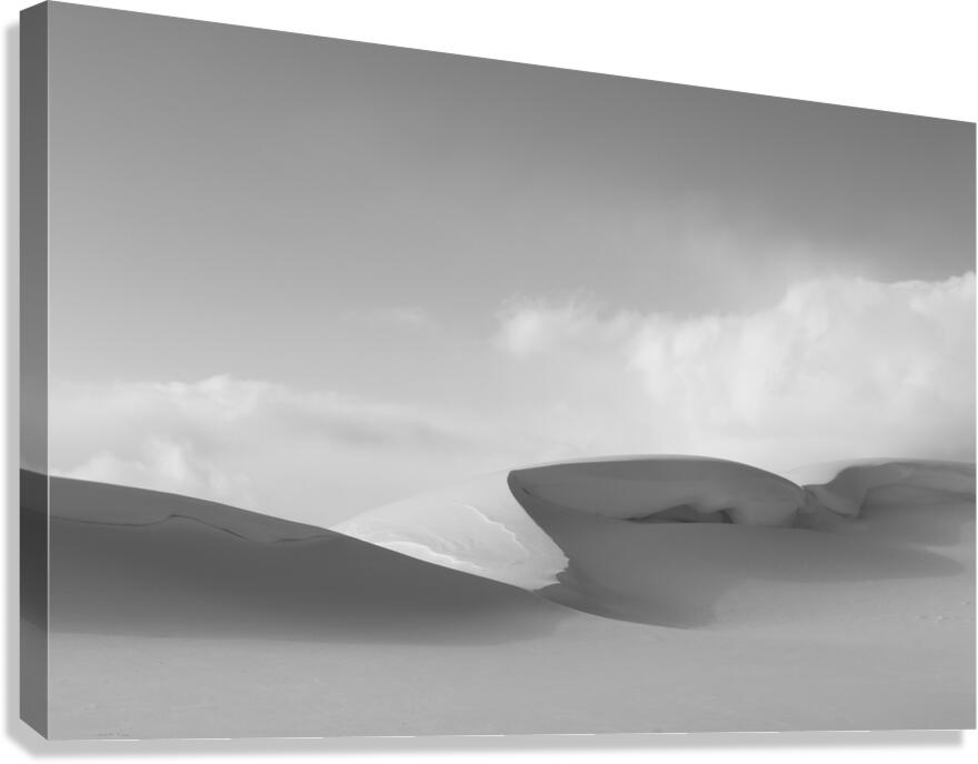 Snowdrift Canvas Print
