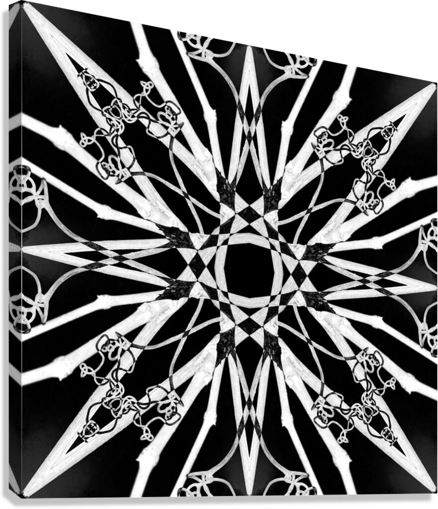 Winter Star Canvas Print