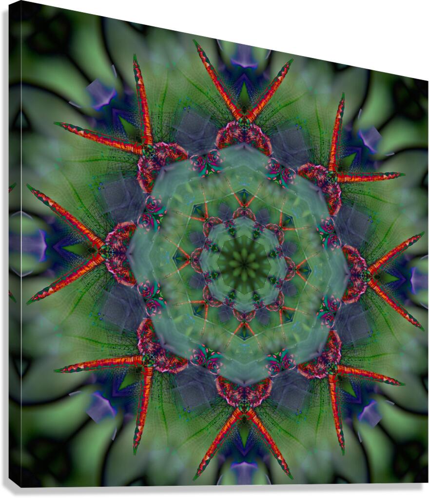 Dragonfly Canvas Print