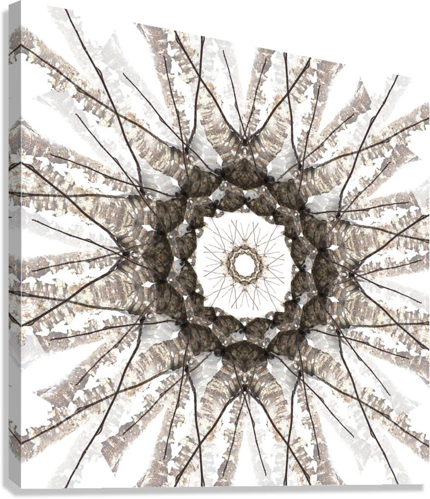 Birchflower Canvas Print