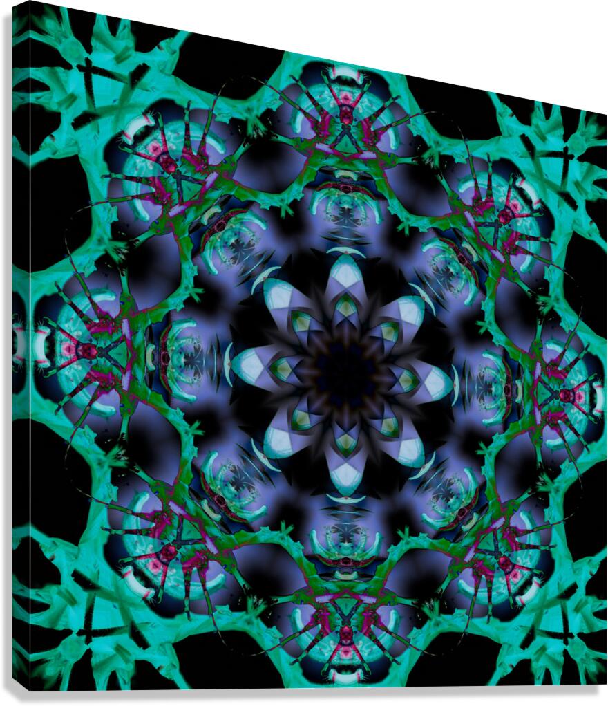 Darkflower Canvas Print
