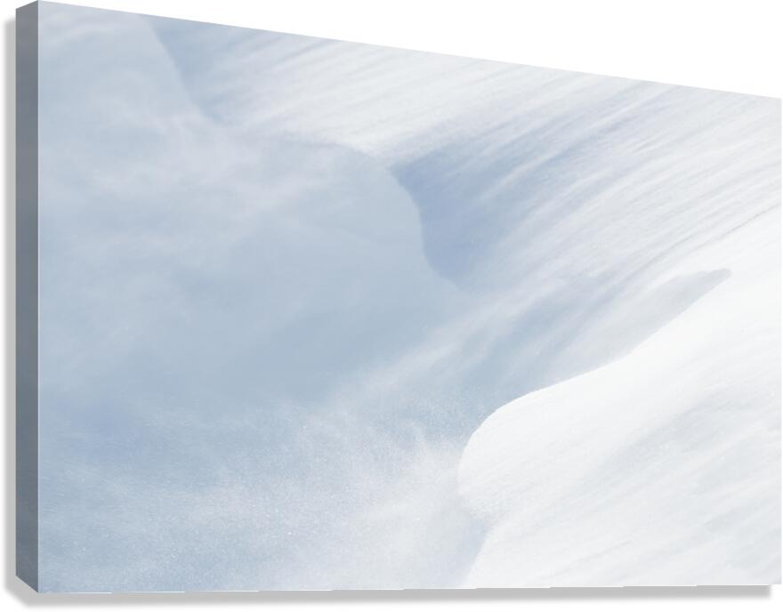 Cold Wind Canvas Print