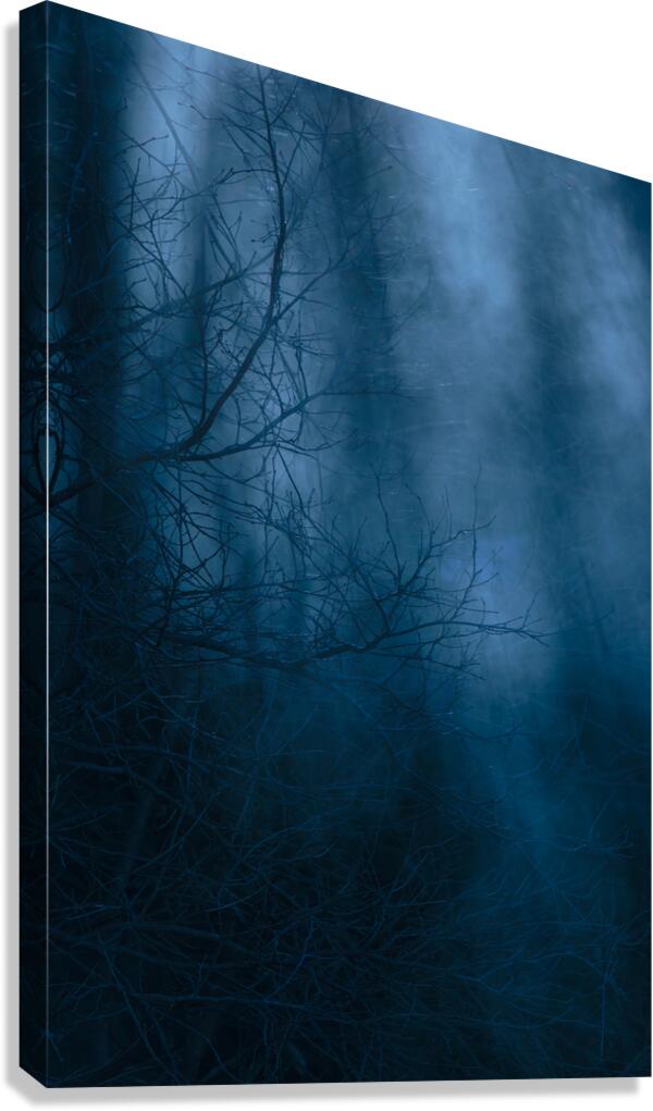 Lost Canvas Print
