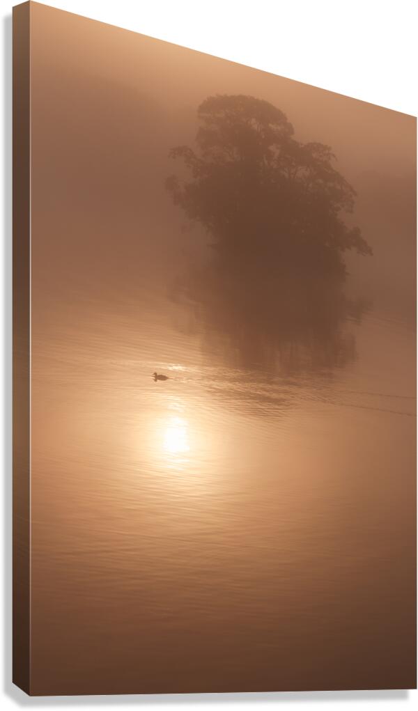 Alone Canvas Print
