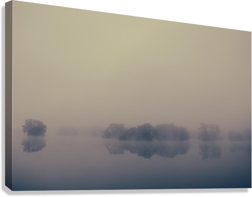 Murky Dawn Canvas Print
