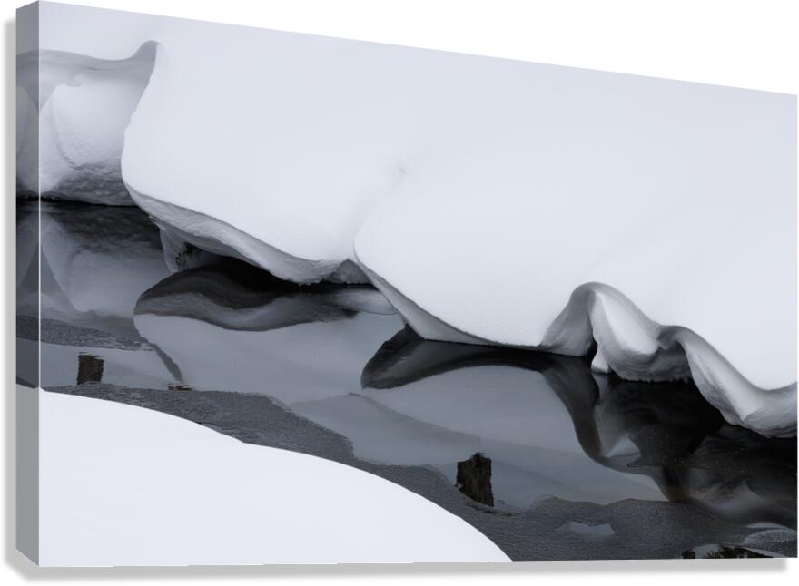 Upon reflection... Canvas Print