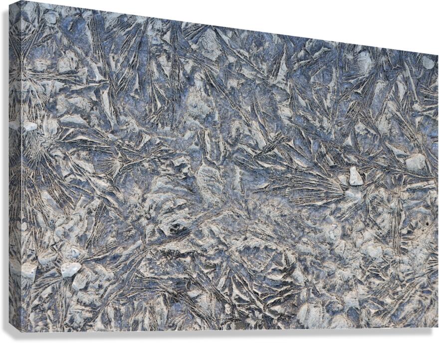 Mud I Canvas Print