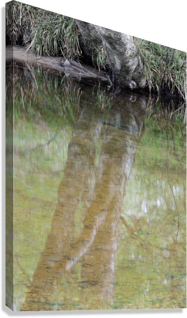 The River Canvas Print