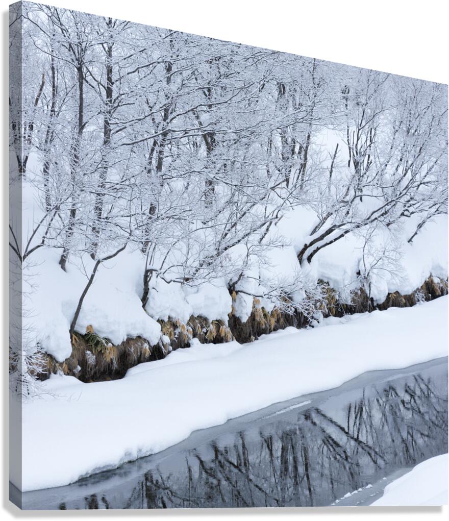 Riverbank Canvas Print