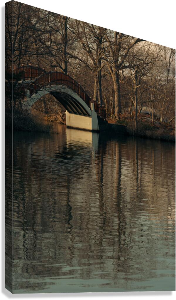 November Canvas Print