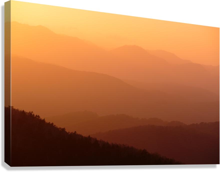 Kosa Sunset Canvas Print