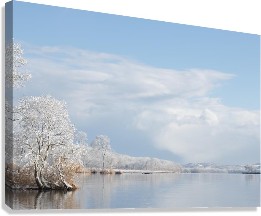 Winter Canvas Print
