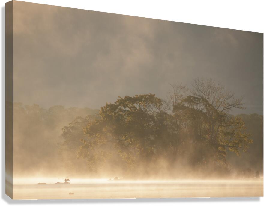 Reverence Canvas Print