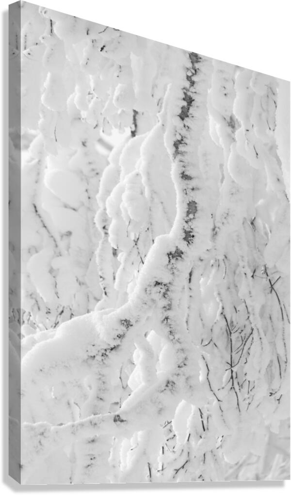 Banished Canvas Print