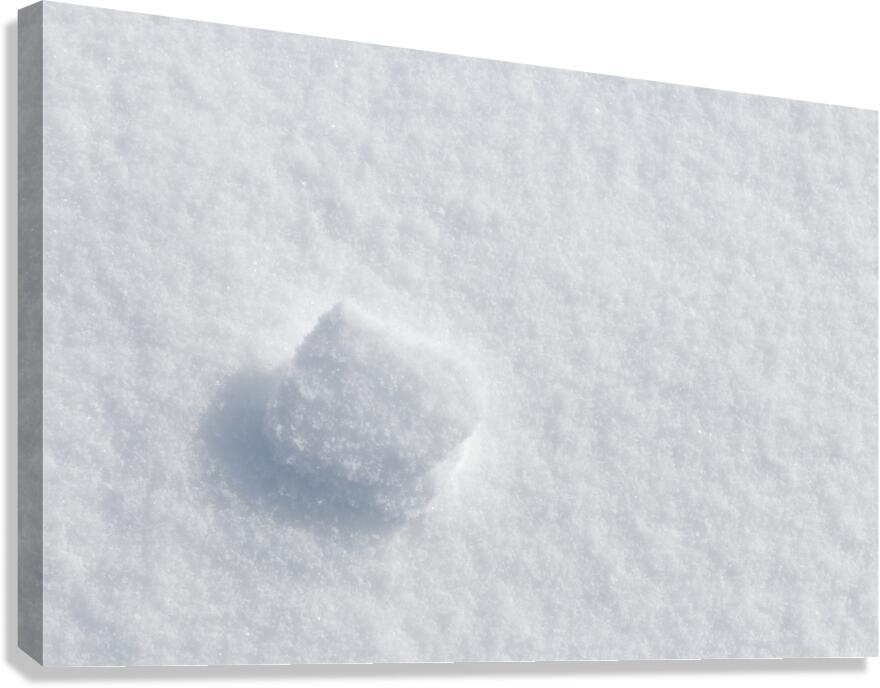 Winter . Canvas Print