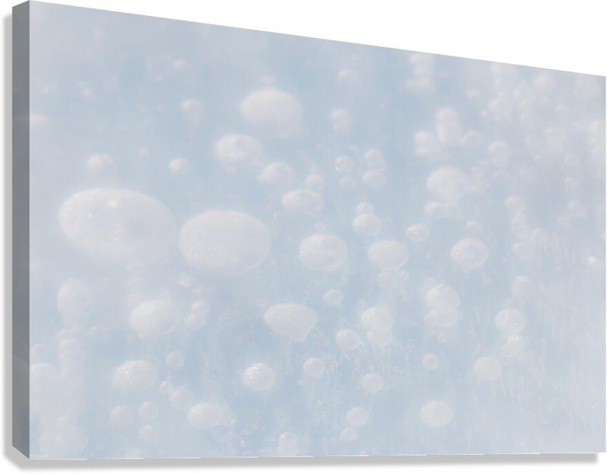 Ice Bubbles Canvas Print