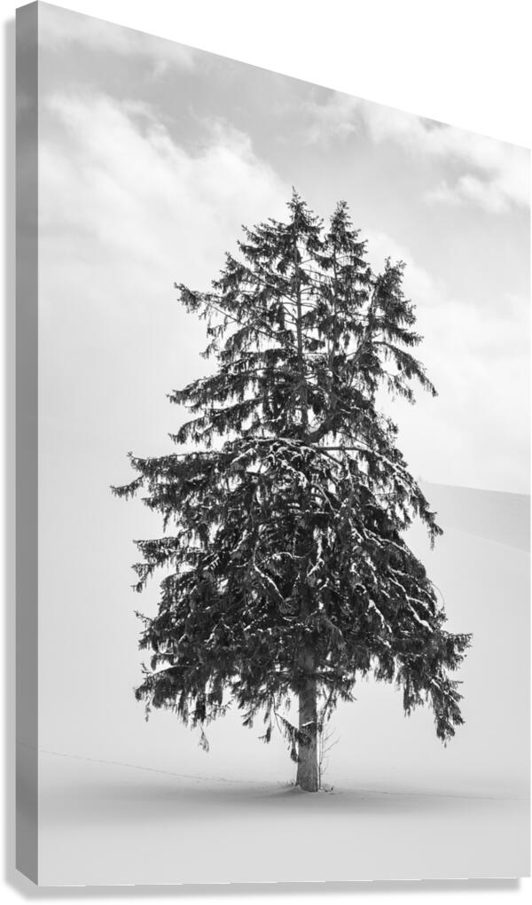 Yezo Canvas Print