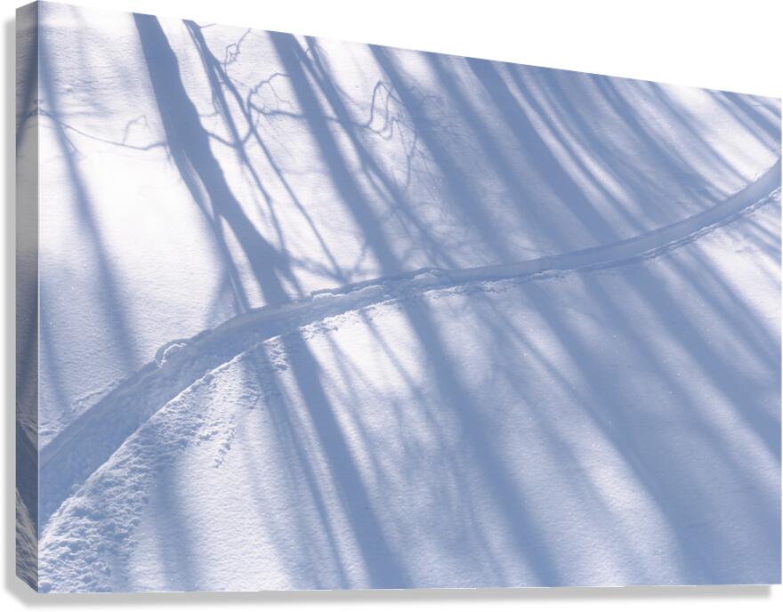 First Tracks Canvas Print