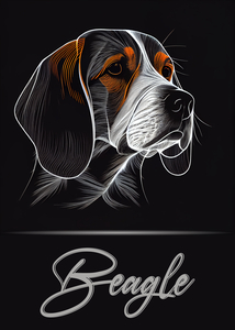 Beagle