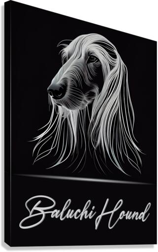 Baluchi Hound Canvas Print