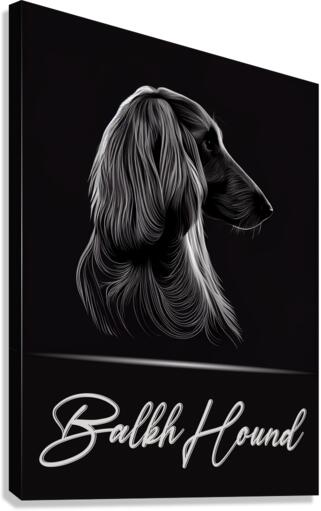 Balkh Hound Canvas Print