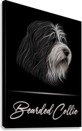 Bearded Collie Canvas Print