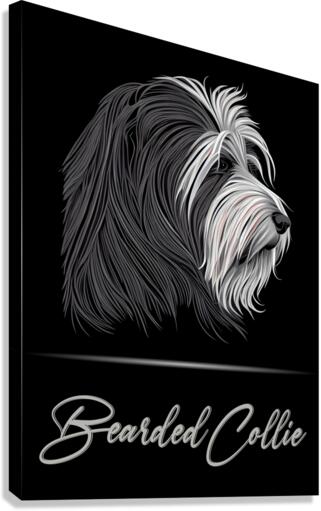 Bearded Collie Portrait Canvas Print