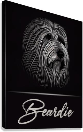 Beardie Canvas Print