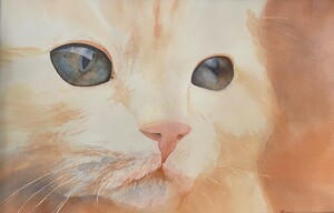 Belle
