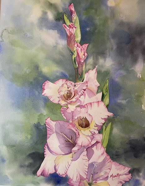 Gladiolus by MamiMo