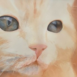 Belle