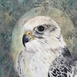Spirit2