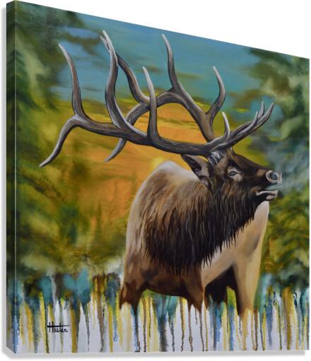 Bugling Elk Canvas Print