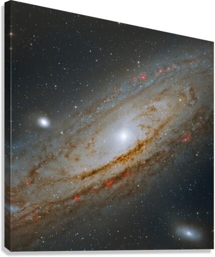 Andromeda Galaxy Canvas Print