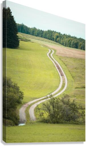 Leading Lines Canvas Print