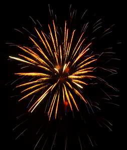 Gold and Purple Firework Burst II Portrait