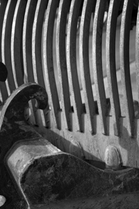 Extractor Rake Black and White