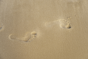 Footprints in Sand