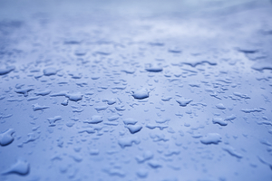 Blue Car Hood After Rain