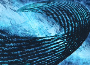 Dark Blues in Motion 