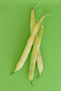 Yellow Beans on Neon Green