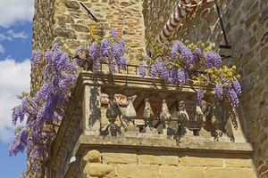 Italian Stone Balcony with Wisteria Flower 