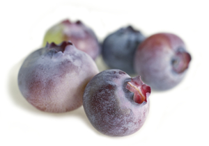 Five Blueberries on White