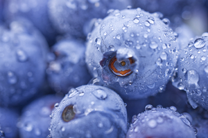 Fresh Blueberries with Water-droplets