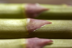 Green Asparagus Spears